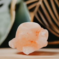 Doğal Himalaya Tuzu Mumluk Kaplumbağa Figürlü 0.5-1 KG