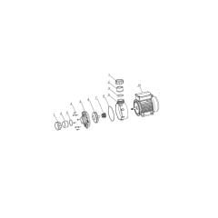 Superpool  WTC Serisi Wtc25 Pompa Motor (Resim No 10)